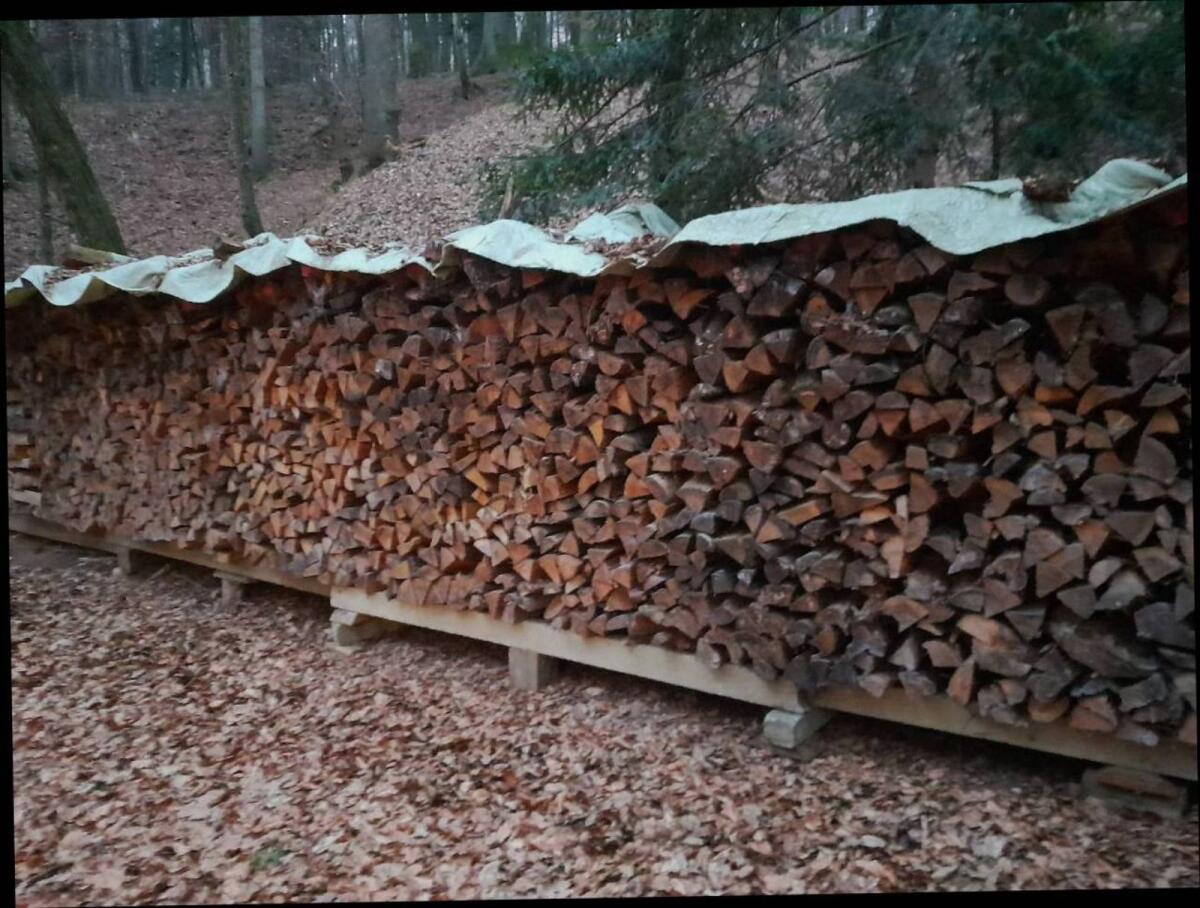 Holz 1