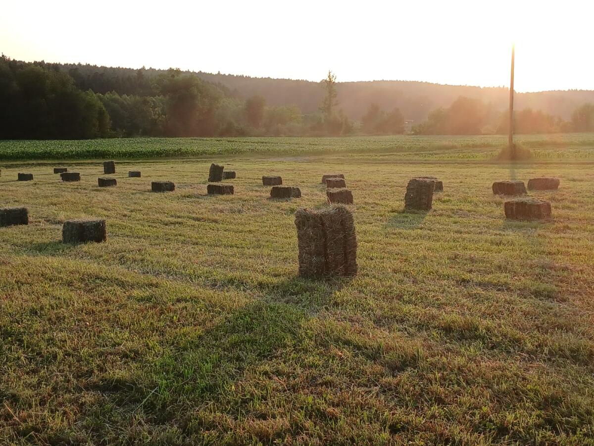 Kleinheuballen, Strohballen 2