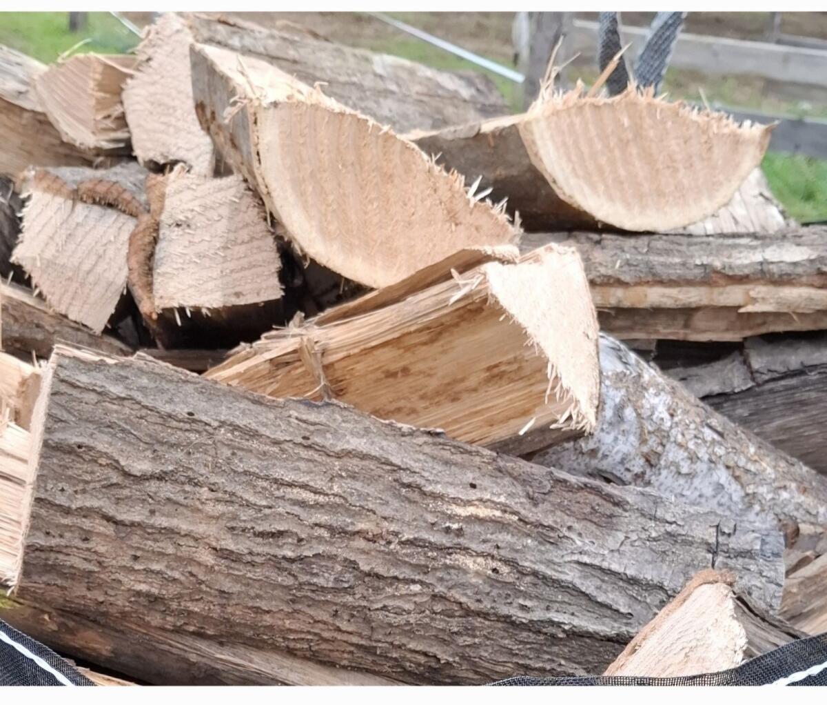 Brennholz Eiche oder Akazie 1