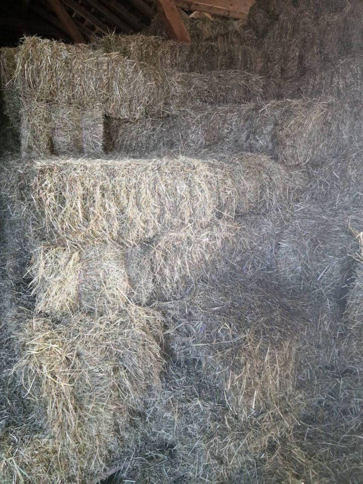 Kleine Heu-Quaderballen 2