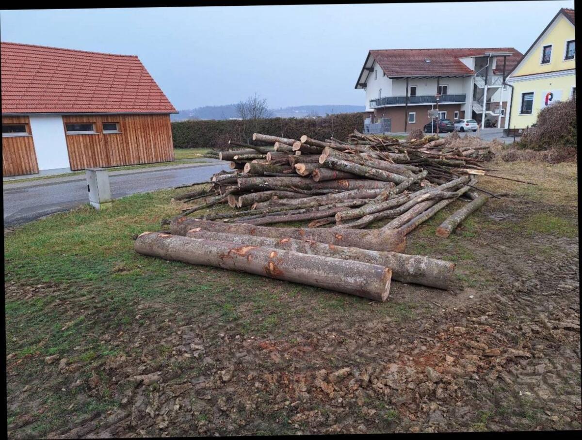 Brennholz 3