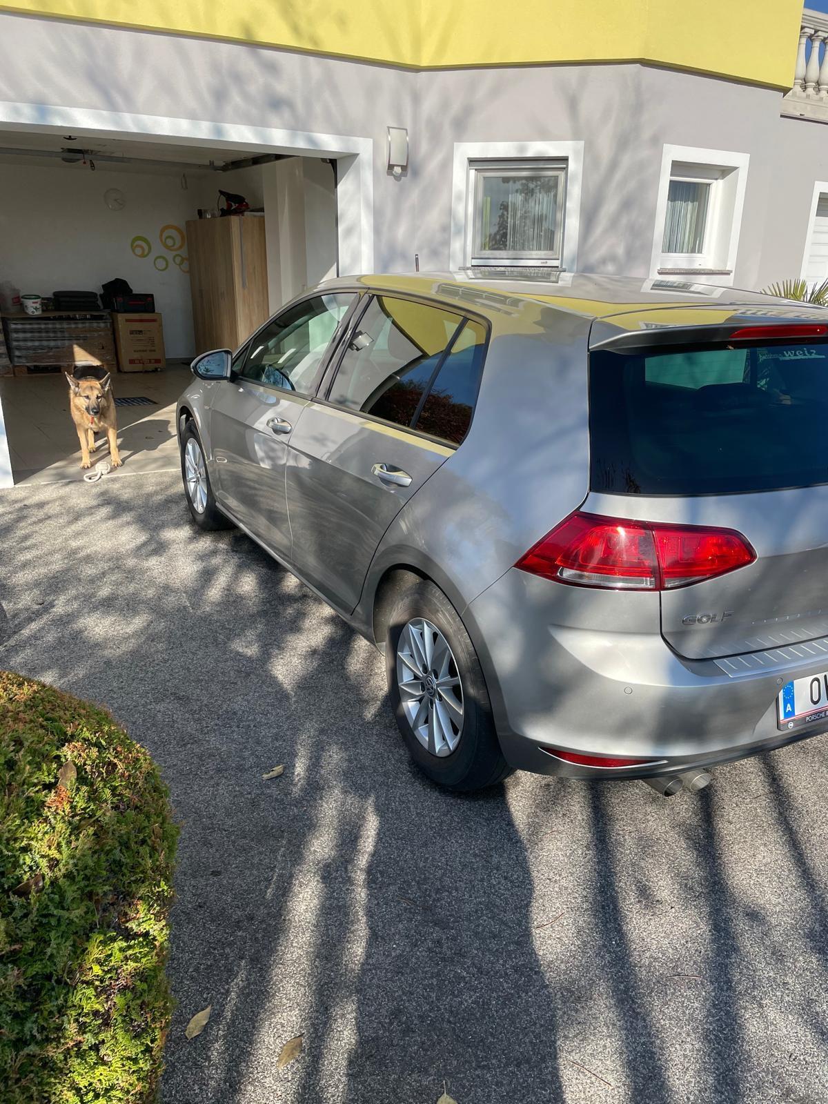 VW Golf Rabbit 1.6 TDI 4Motion 2
