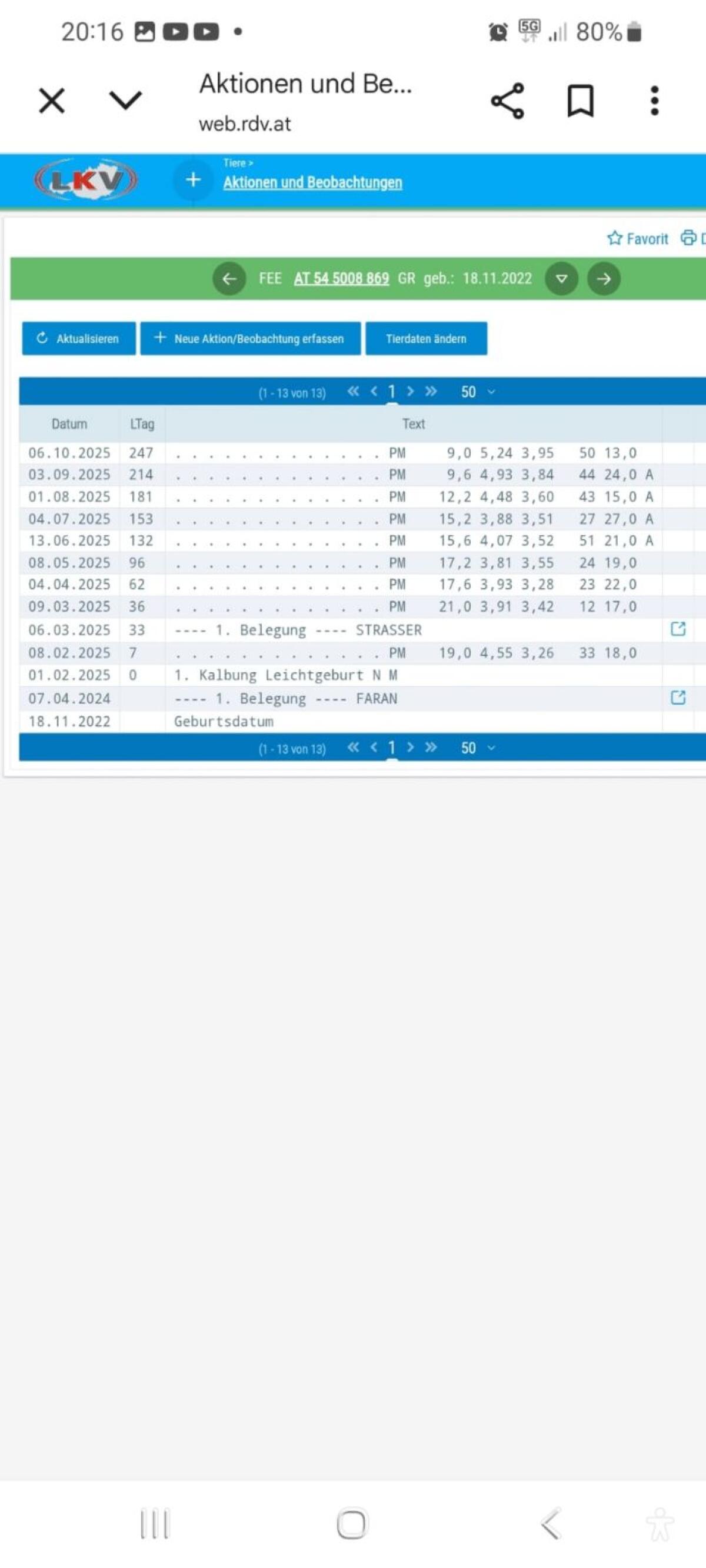 Bio Tiroler Grauviehkuh 2