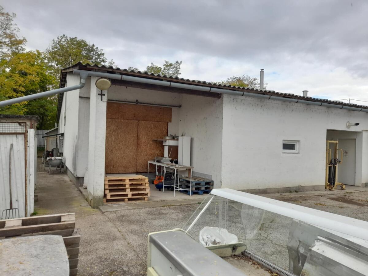 Fleischerei in Ungarn, Sáregres zu verkaufen 2