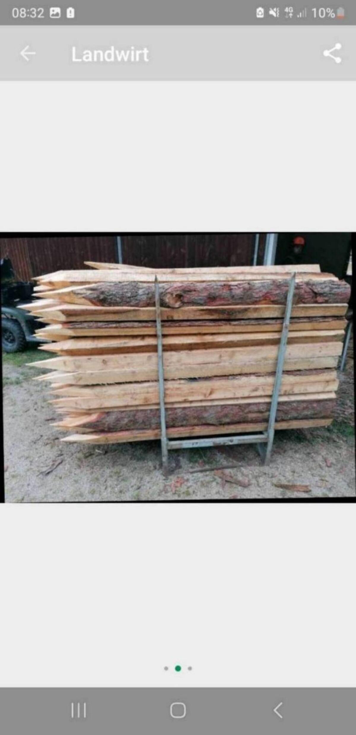 Zaunpfähle Almlärche, Stempel, Strempel, Pflöcke 2