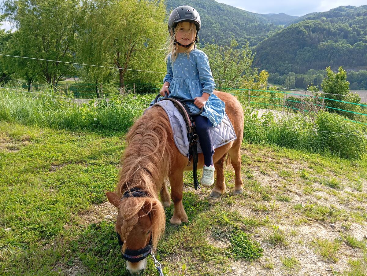 Kinderliebe Shettystute tragend 1