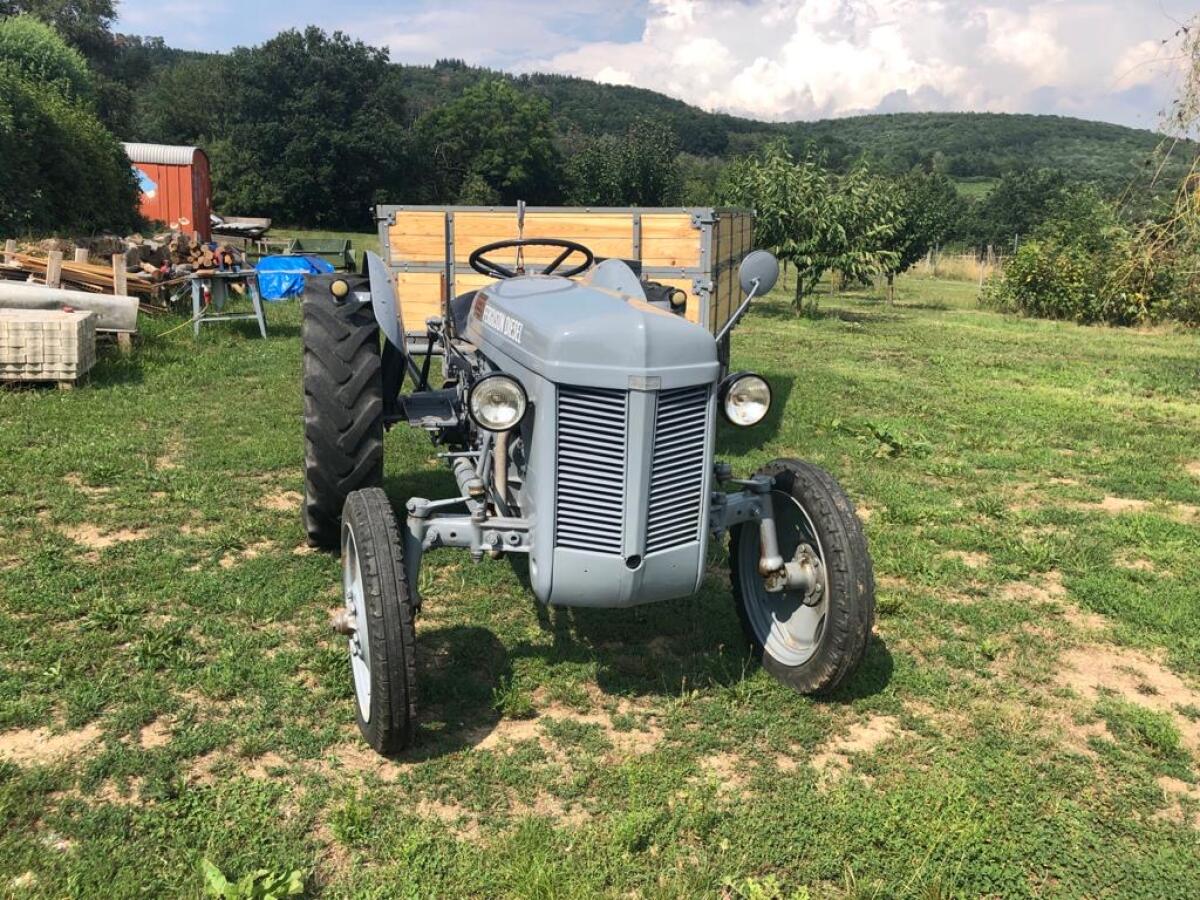Massey Ferguson TEF20 Traktor 3
