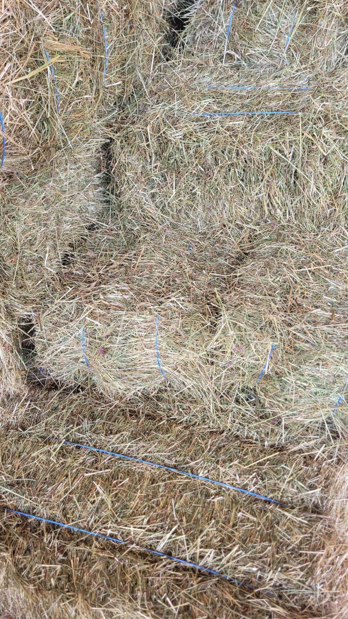 Heu in Kleinballen 2