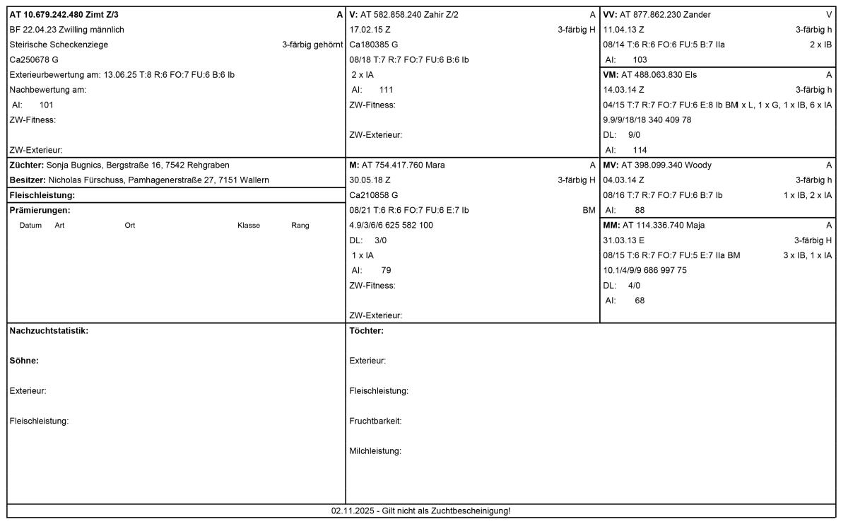 HB Steirische Scheckenziege Zuchtbock 3