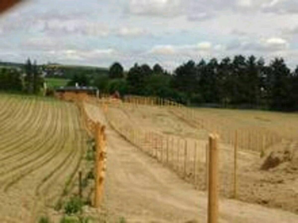 Zylindrisch gefrästes Lärchenholz 3