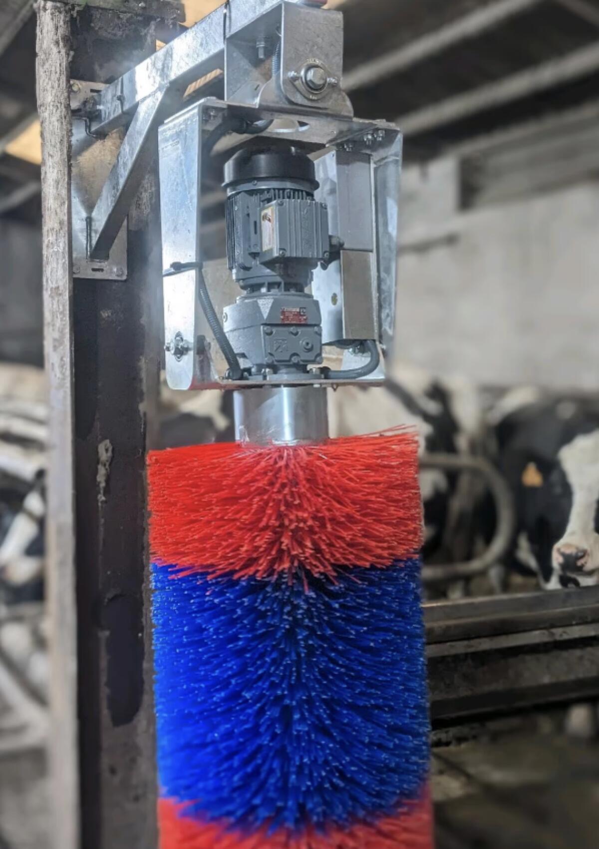 Kuhbürste Happycow 2