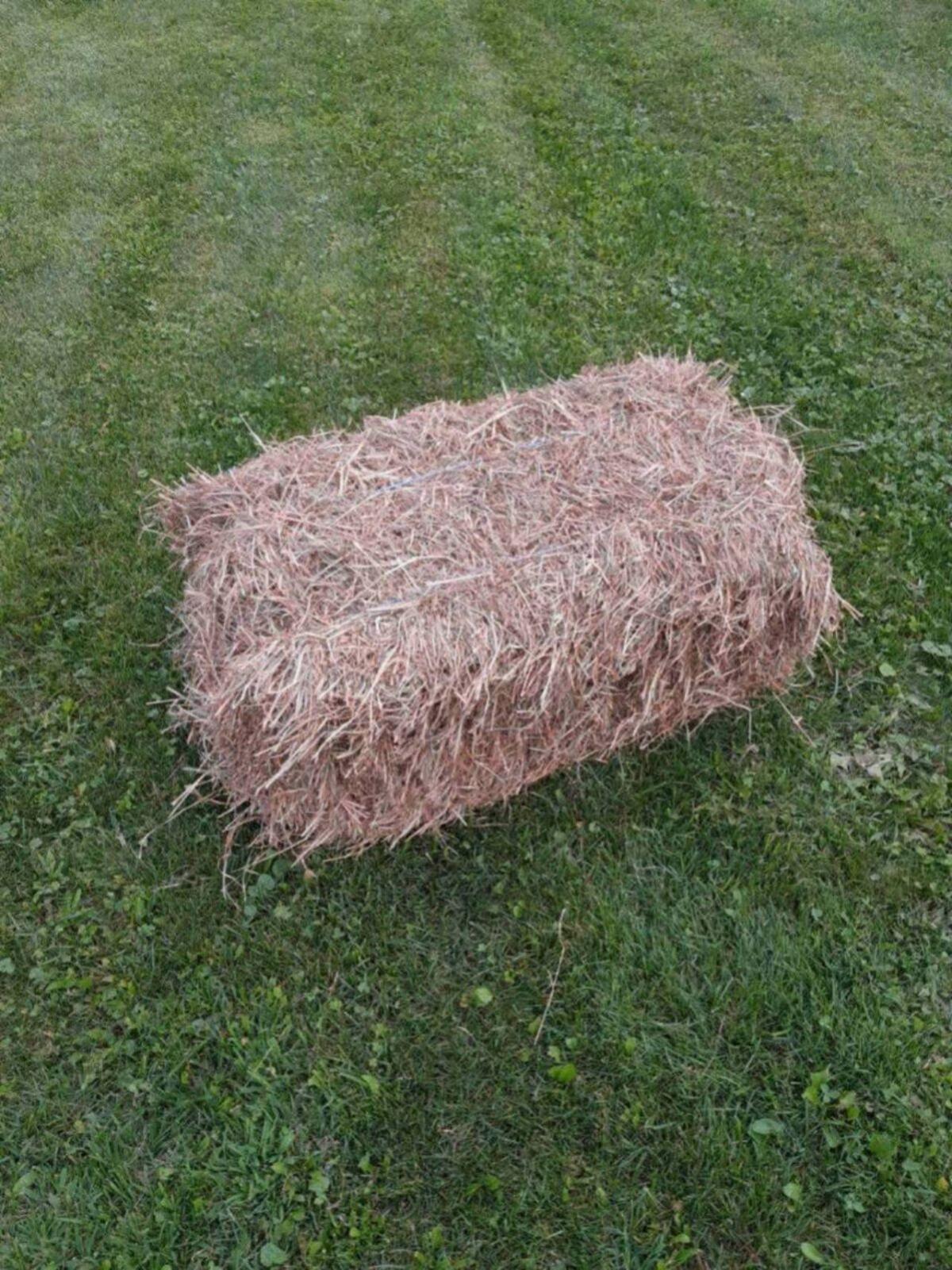 Bio Heu Kleinballen 1