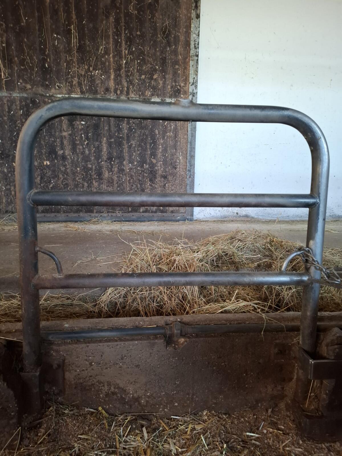 Aufstallung, Fressgitter gesucht 1