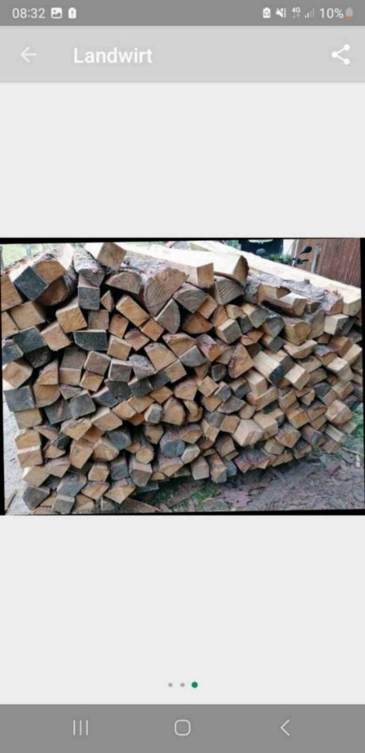 Zaunpfähle Almlärche, Stempel, Strempel, Pflöcke 3