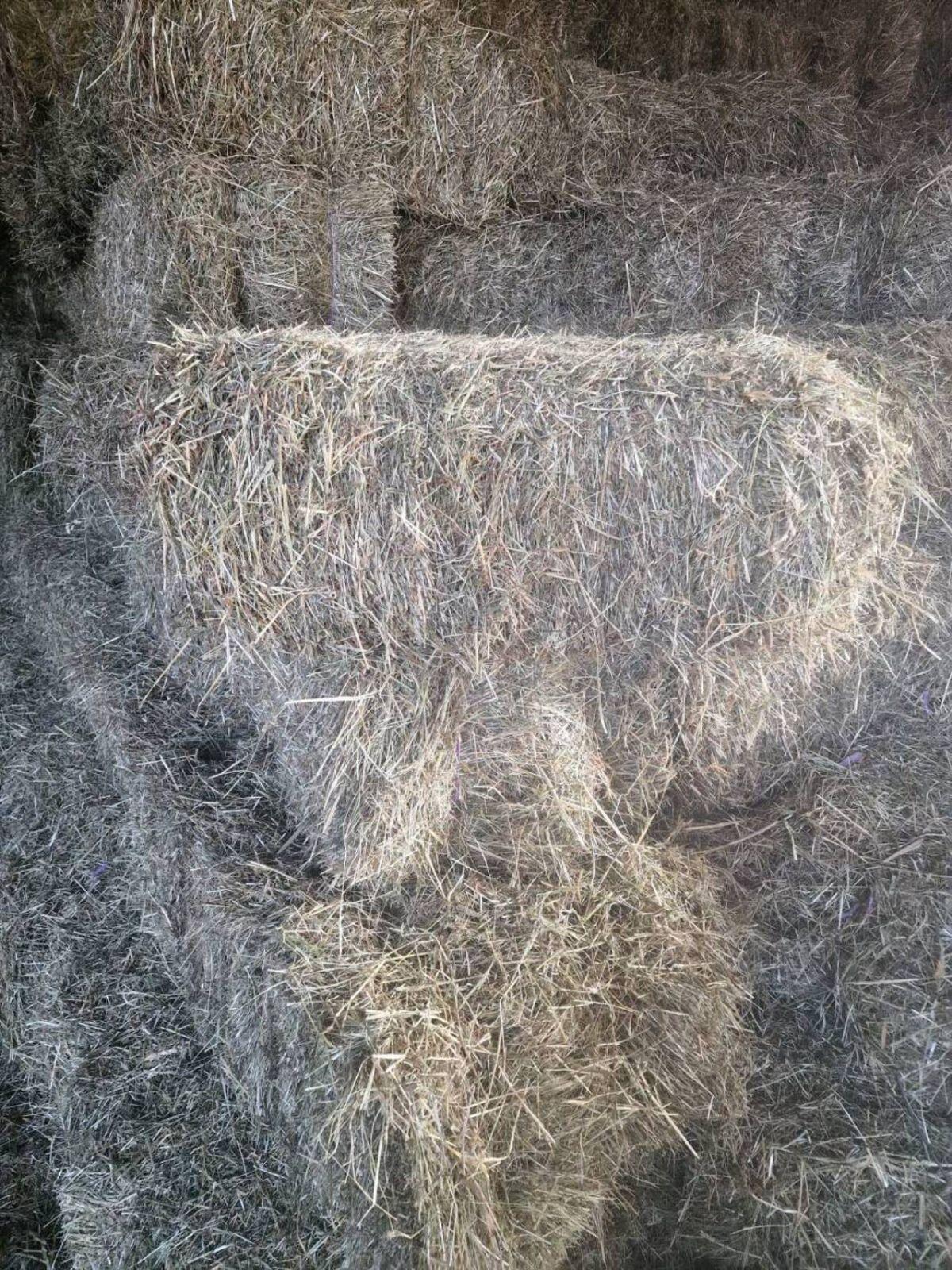 Kleine Heu-Quaderballen 3