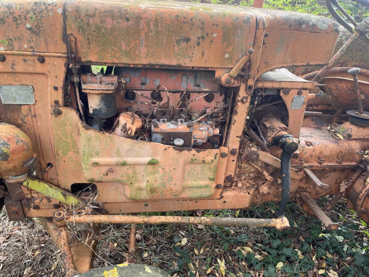 Fiat 25 Trattore d’epoca 3