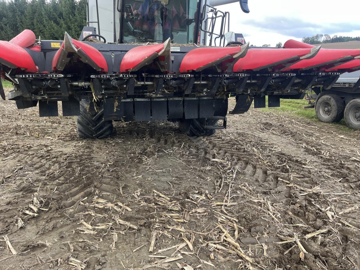 Capello Quasar Maispflücker 2