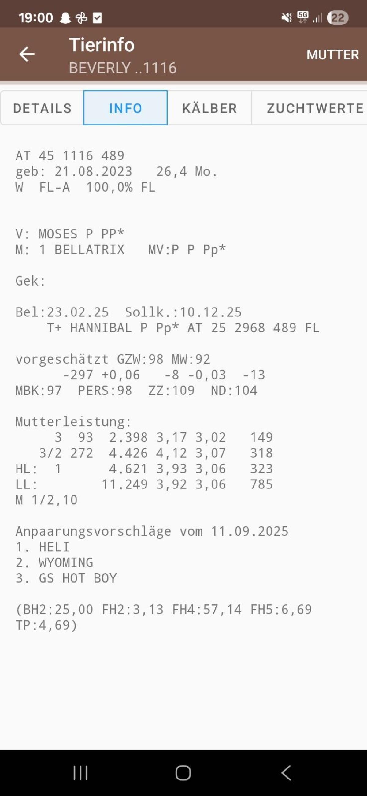 Trächtige Bio Kalbin 3