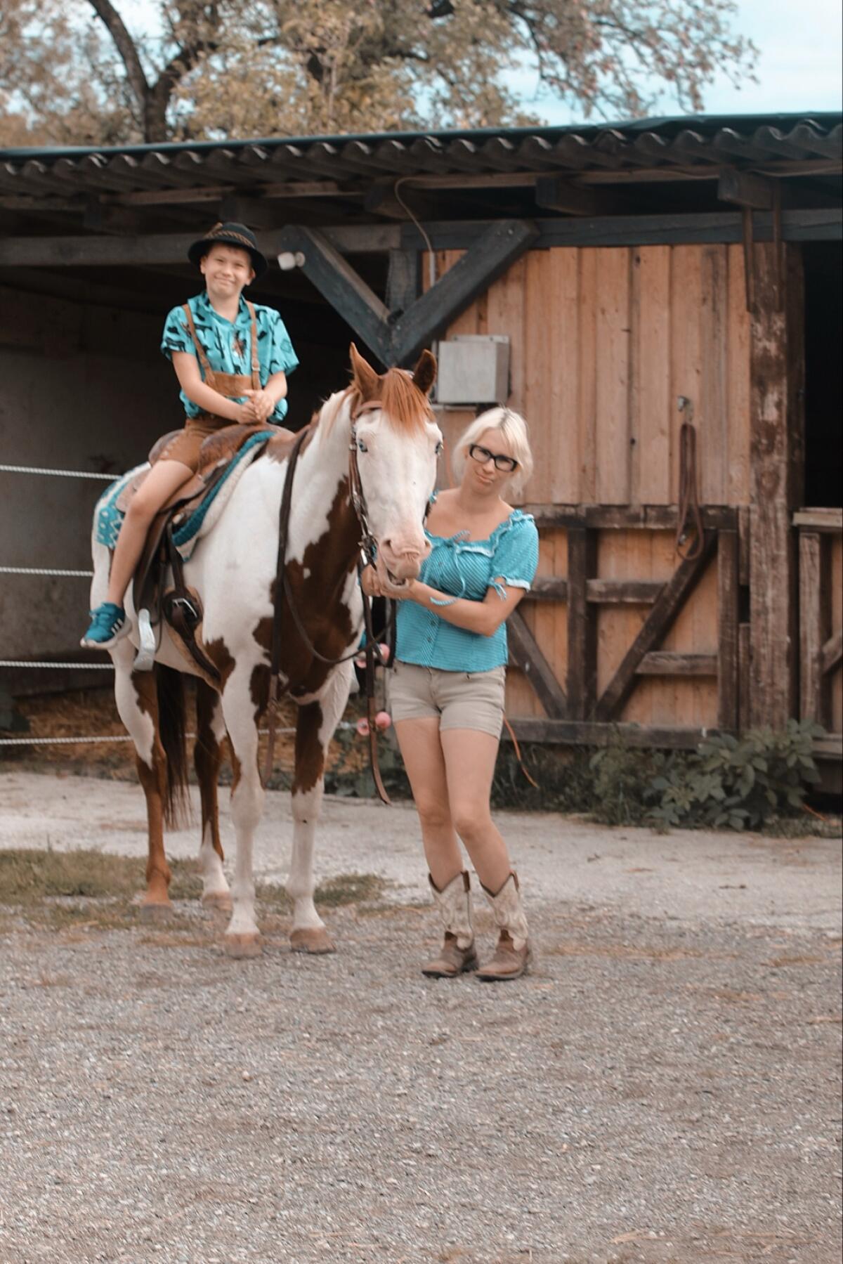 American Paint Horse Deckhengst - gekört APHA/AQHA/ZSSE 3