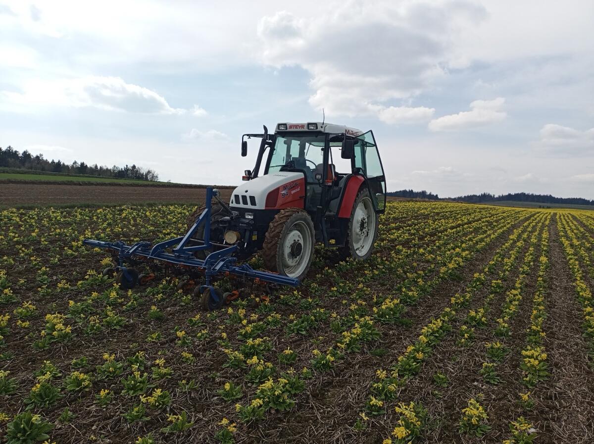 Schmotzer Hackgerät 1