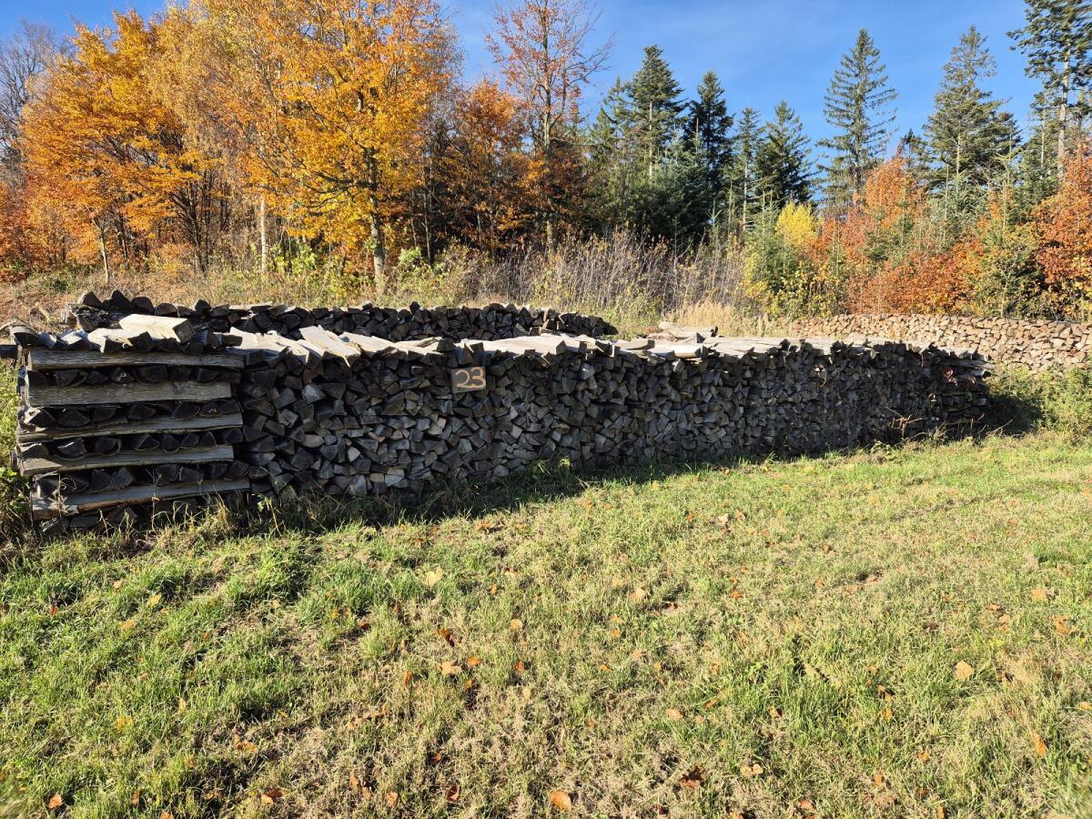 Verkaufe hartes Brennholz 1