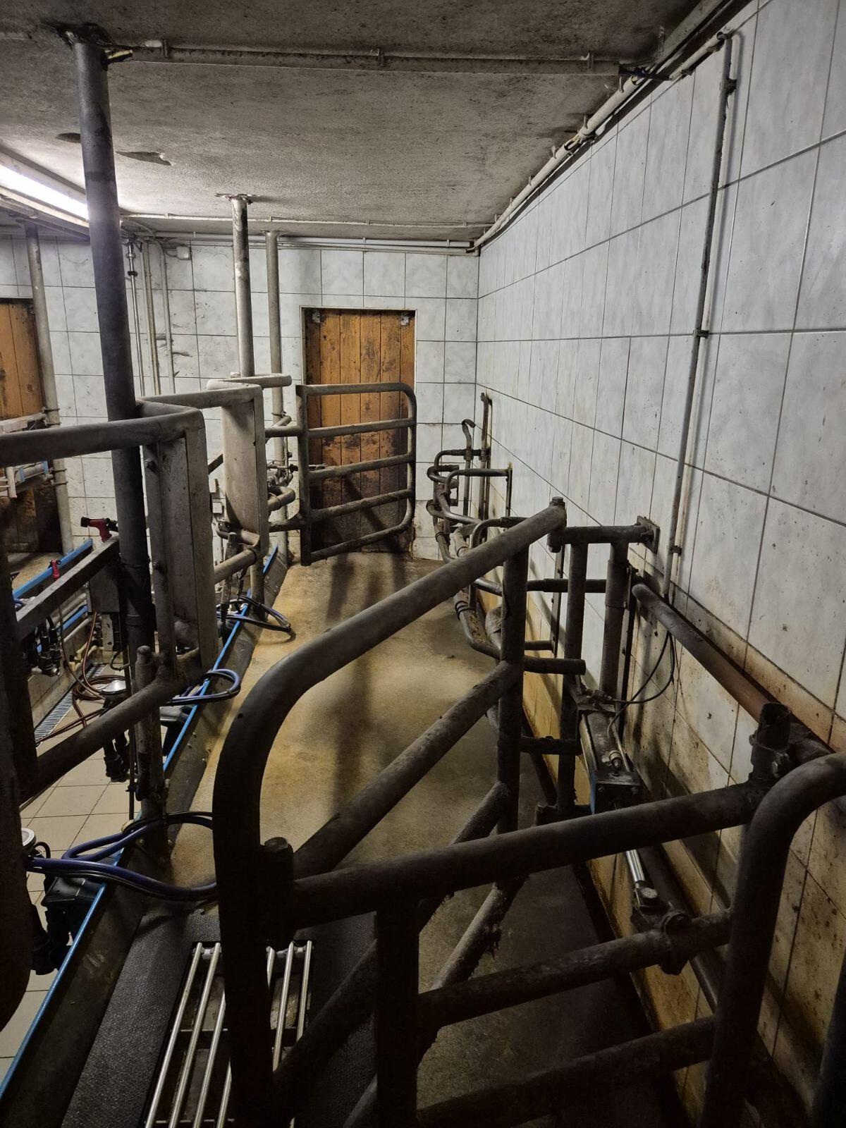 Verkaufe De Laval Doppel 3er Fischgrät Melkstand 3