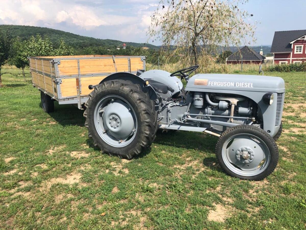 Massey Ferguson TEF20 Traktor 1