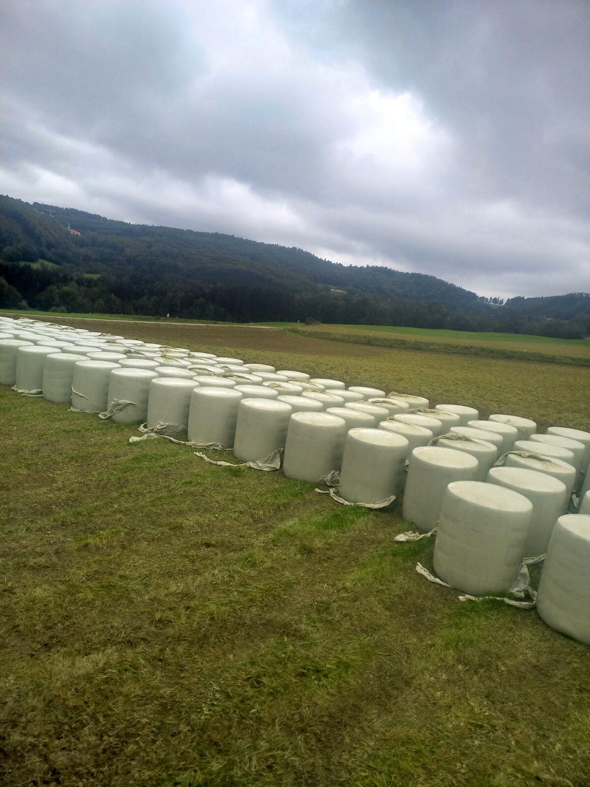 Bio Mais, Maisballen 1