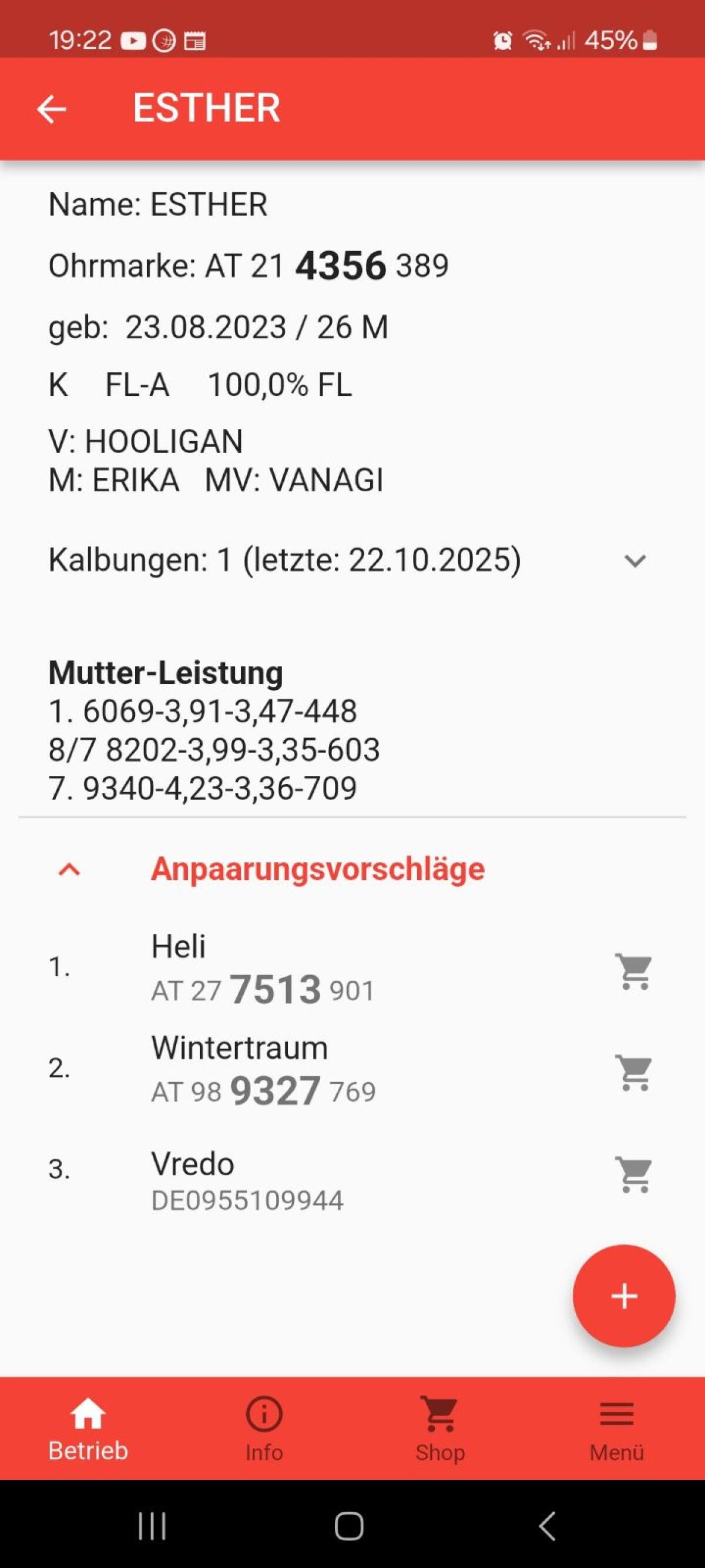 Verkaufe FL Jungkuh und belegfähige Kalbin 2