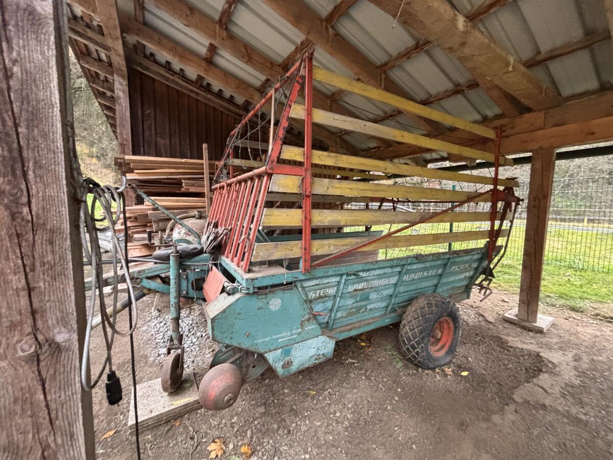 Steyr Ladewagen Hamster 2