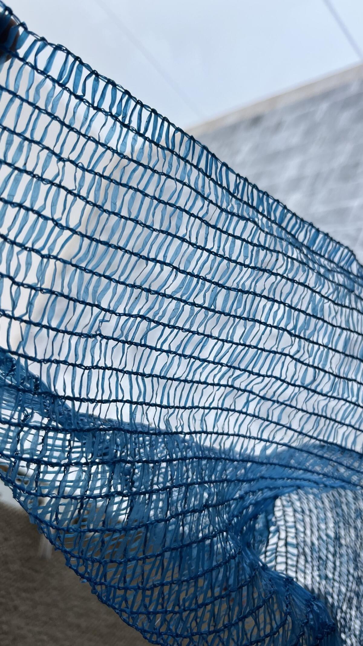 Weinbau Traubenschutznetz 2