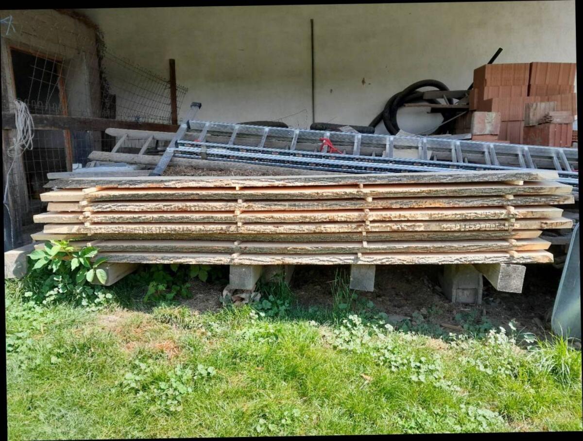 Tischlerware Esche 2