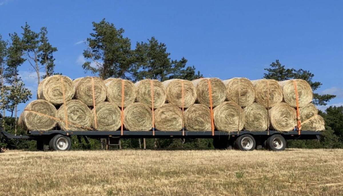 Ballenwagen Plateauanhänger 3