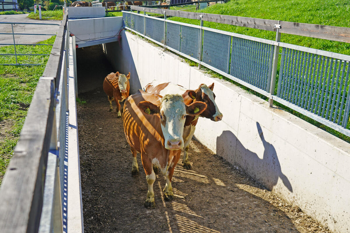 Biete Praktikum 2026 1