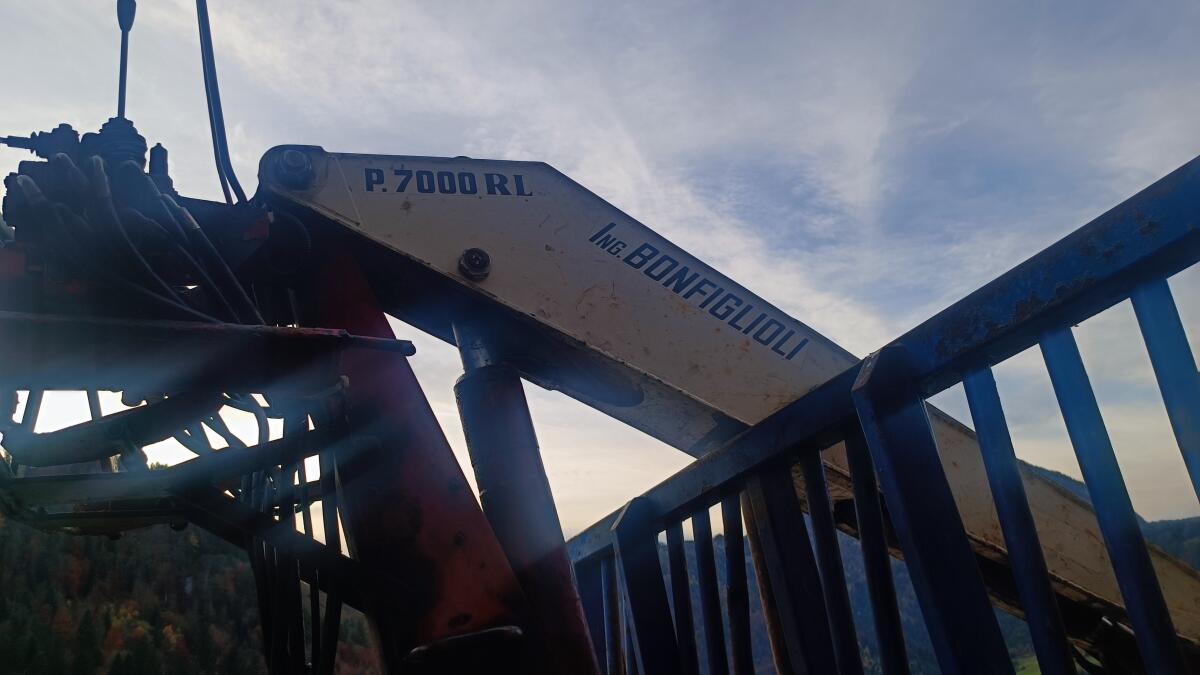 Verkaufe Holzanhänger mit Kran Ing. Bonfiglioli P.7000 RL 1