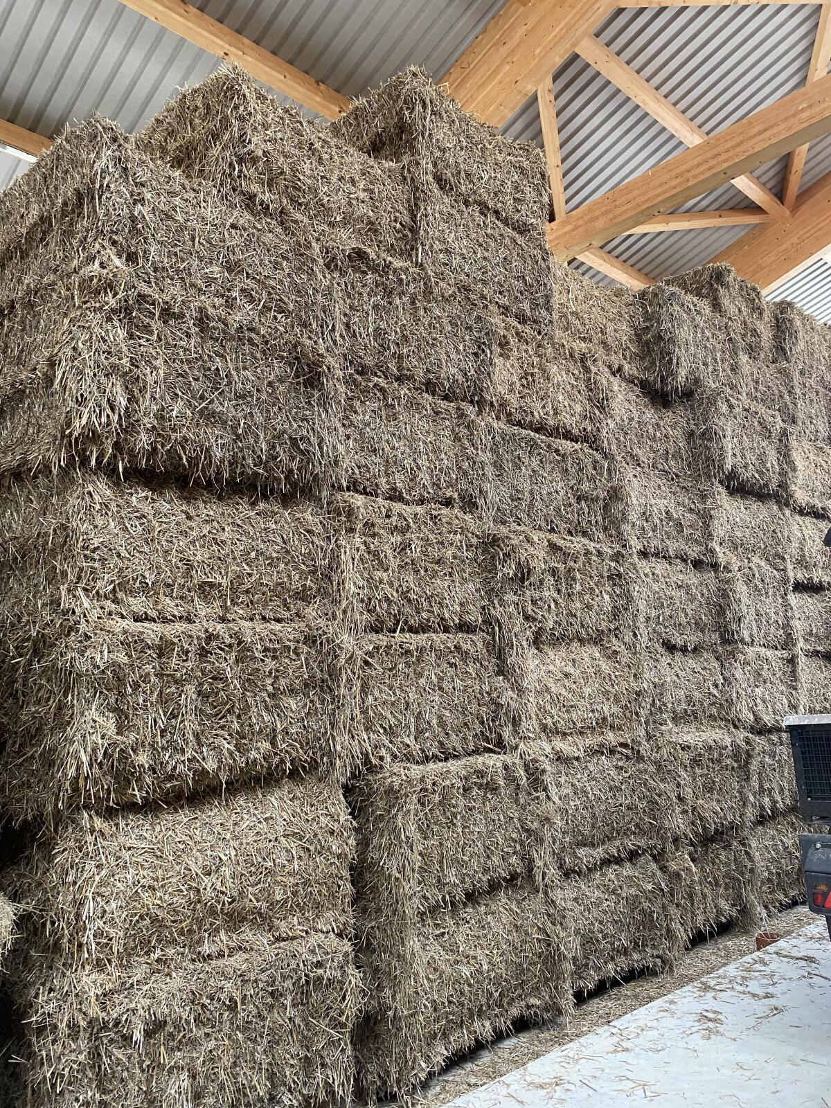 Weizenstroh zu verkaufen, 86899 Landsberg am Lech 2