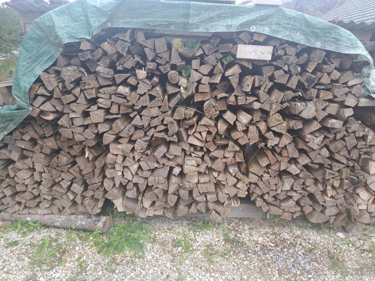 Buchenbrennholz 2