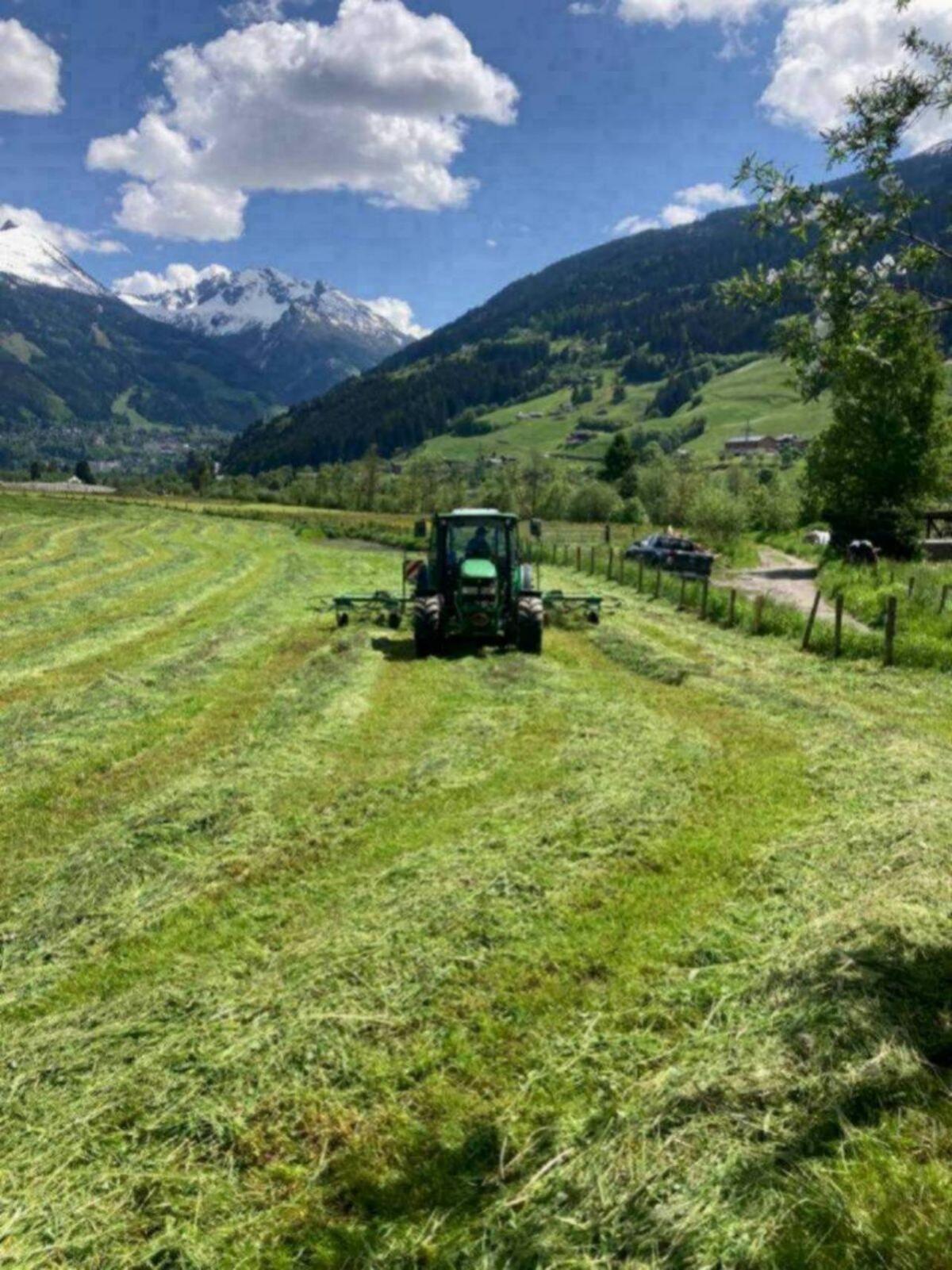 Praktikant/in gesucht für Familienbetrieb im Gasteinertal 2