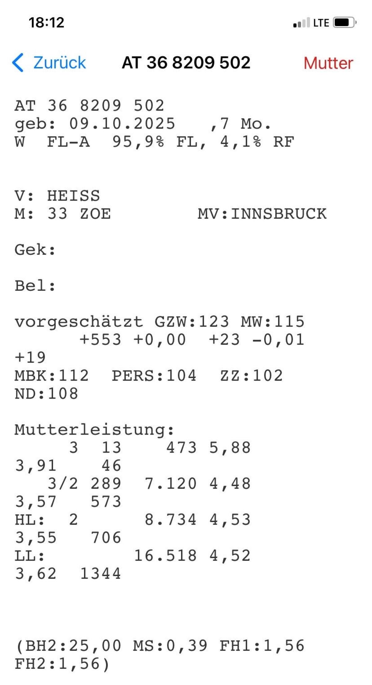 Weibliches BIO-Zuchtkalb 2