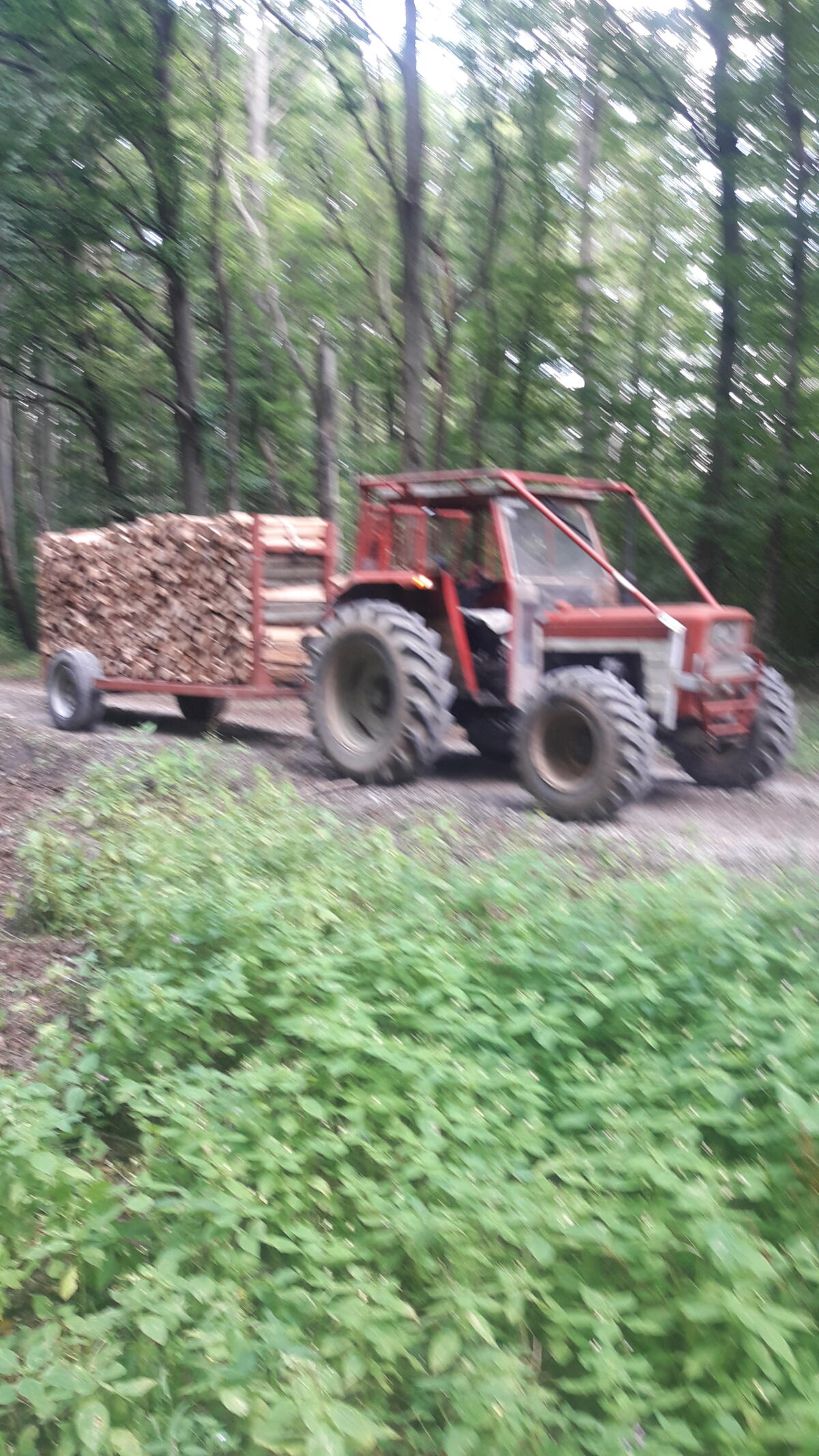 Lindner BF 450S mit Forstausrüstung 2