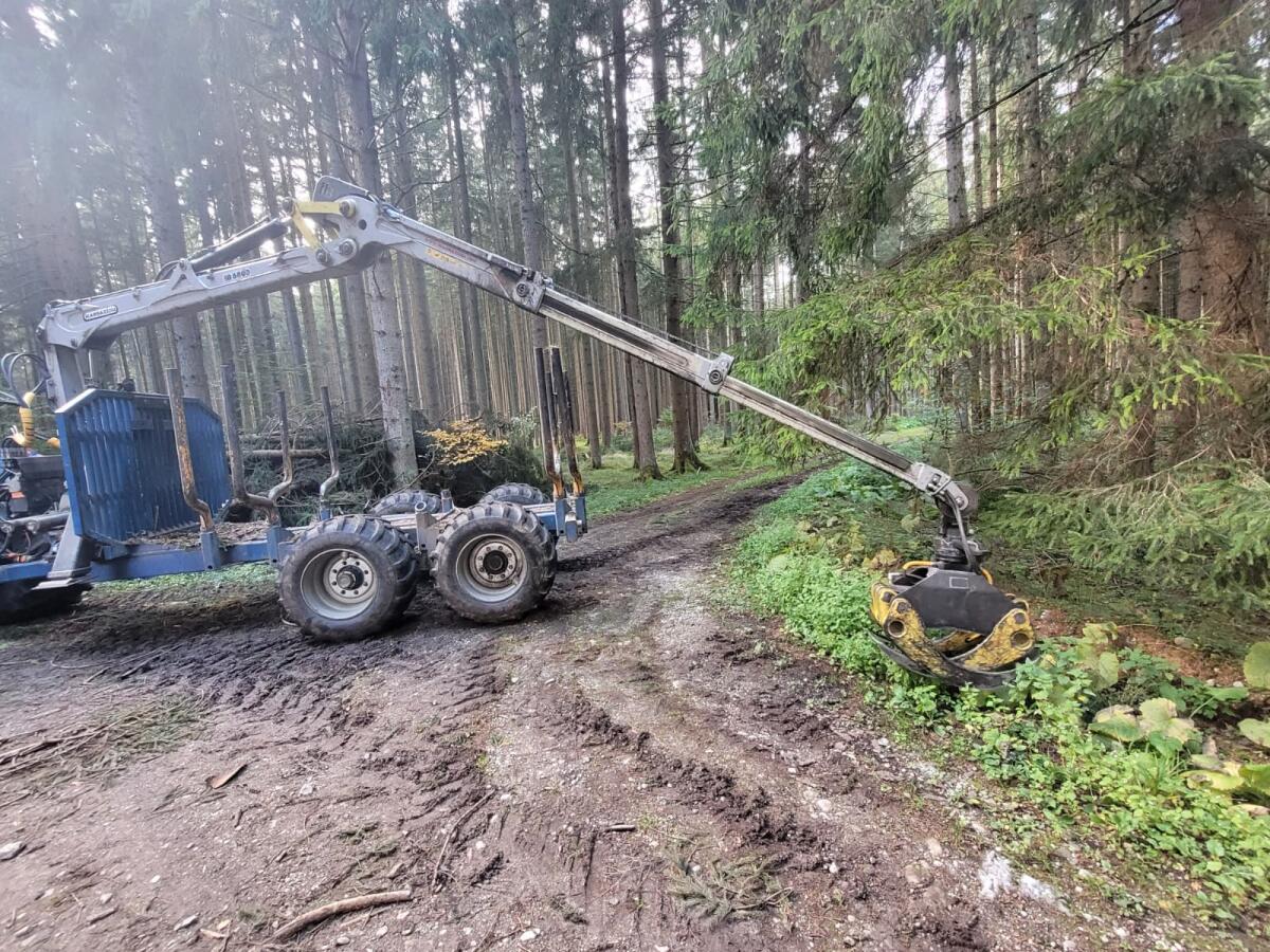 Icarbazzoli Forstkran 6800L 2