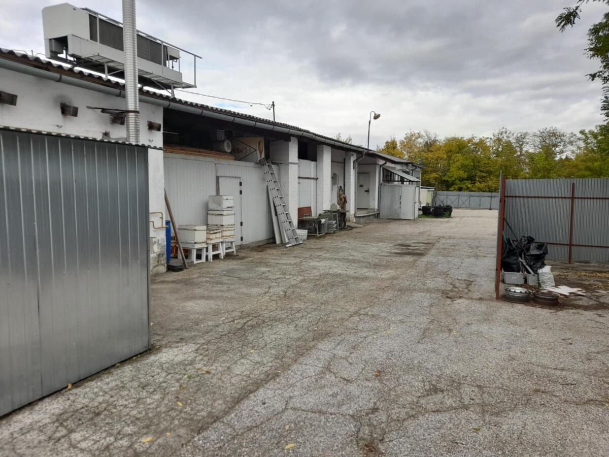 Fleischerei in Ungarn, Sáregres zu verkaufen 1