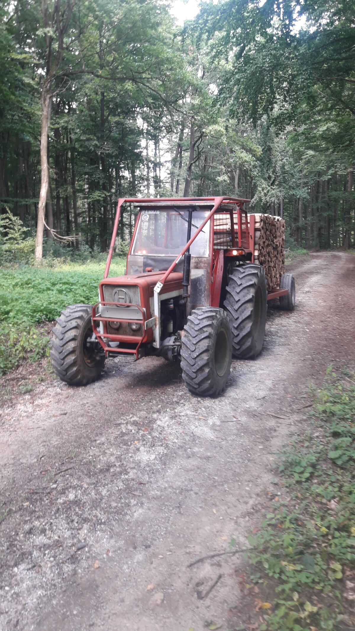 Lindner BF 450S mit Forstausrüstung 3