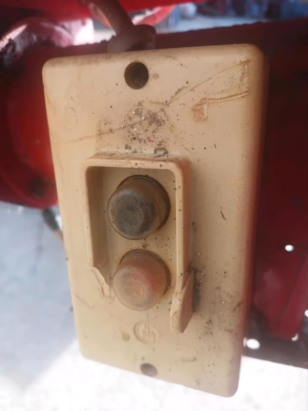 Getreideschnecke Sammelschnecke 1