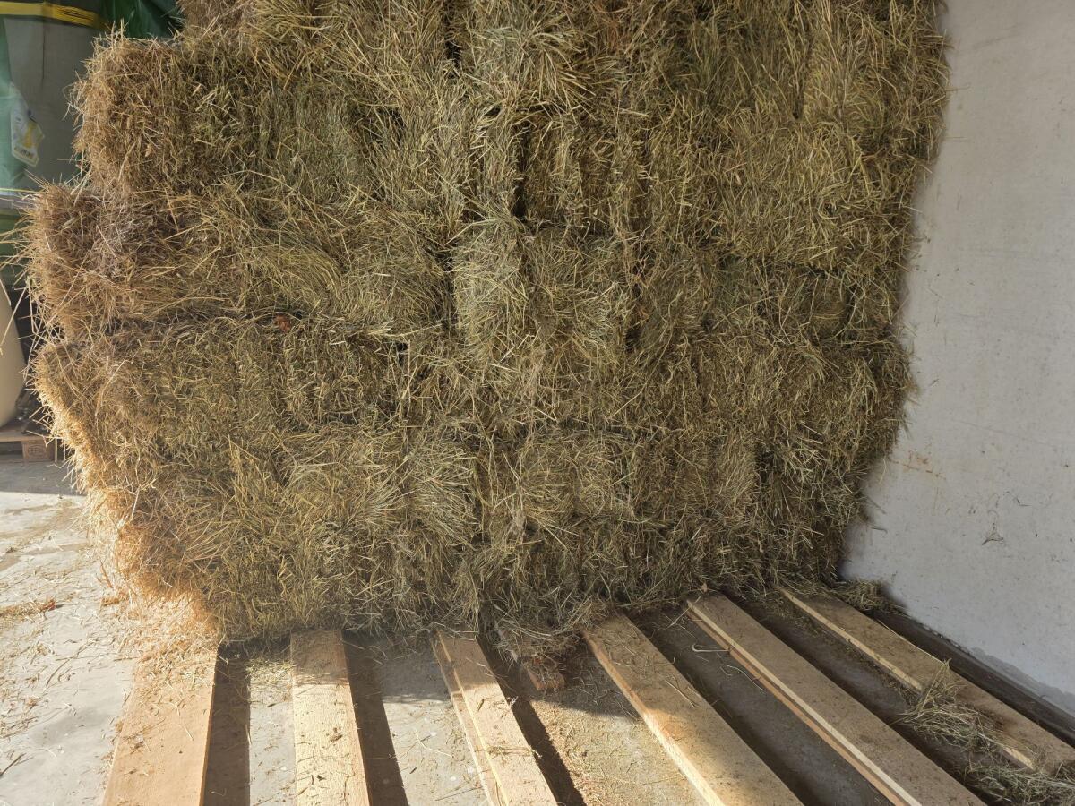 Heu Kleinballen, HD Heuballen, Heu 2