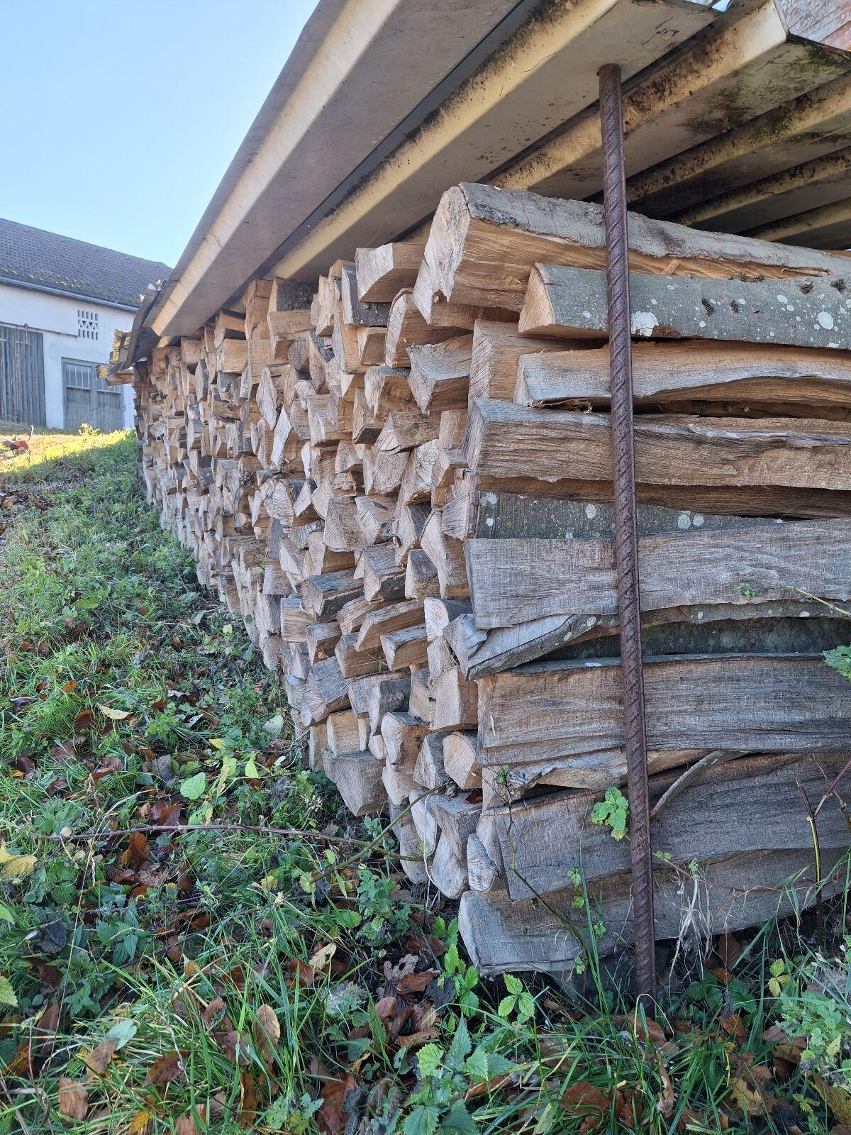 Brennholz Buche, Hartholz 1