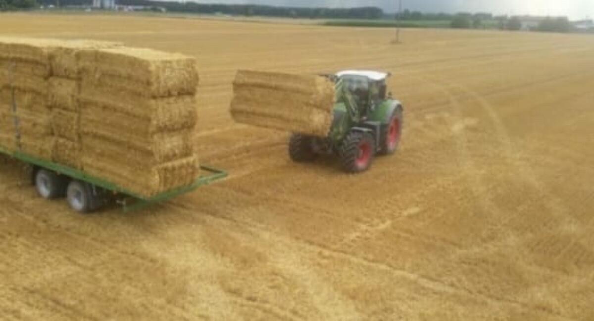 Quaderballen Stroh 1