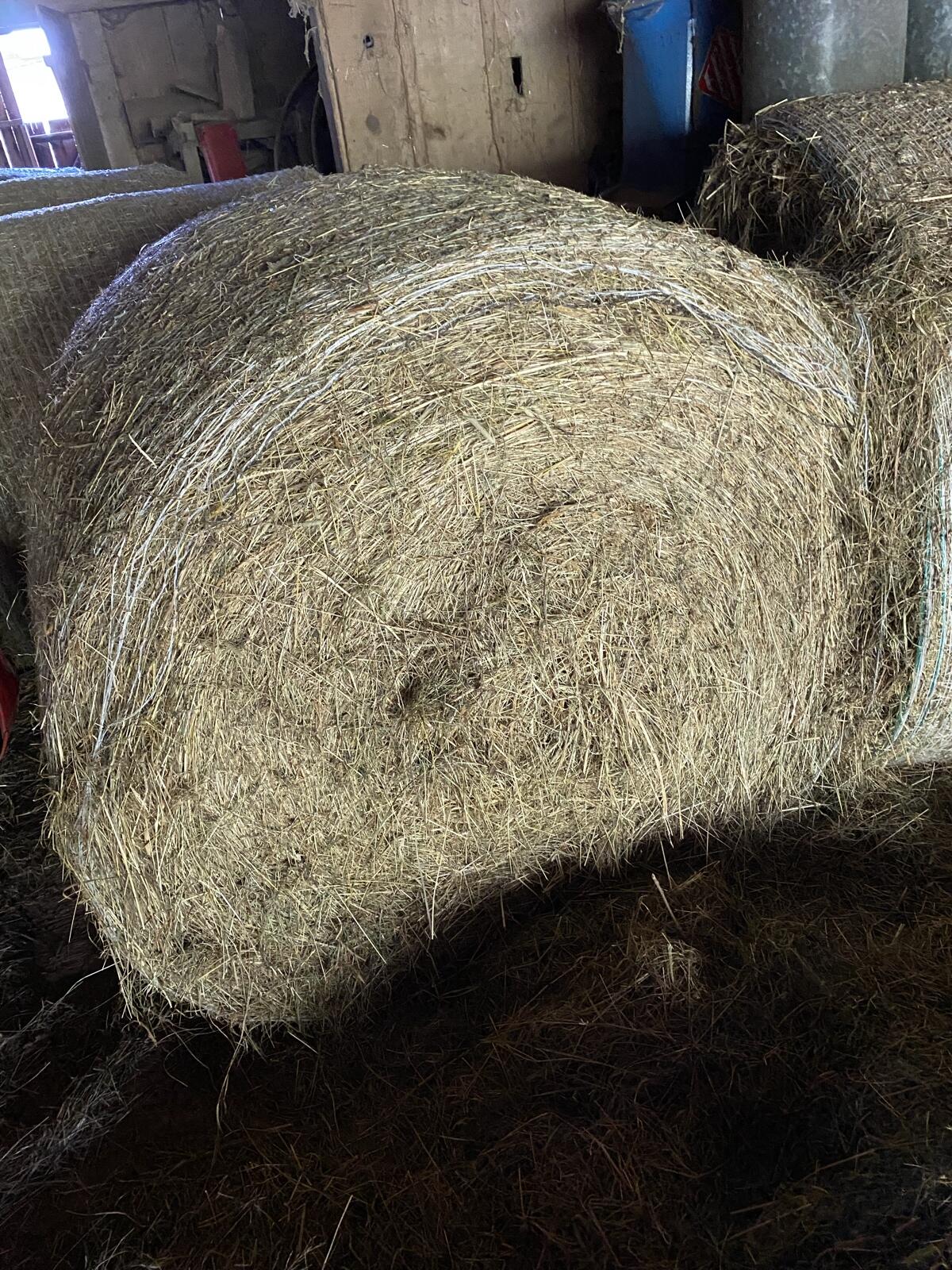 Heu (Dm. 1,25 m) Schnitt 2024 und 2025 3