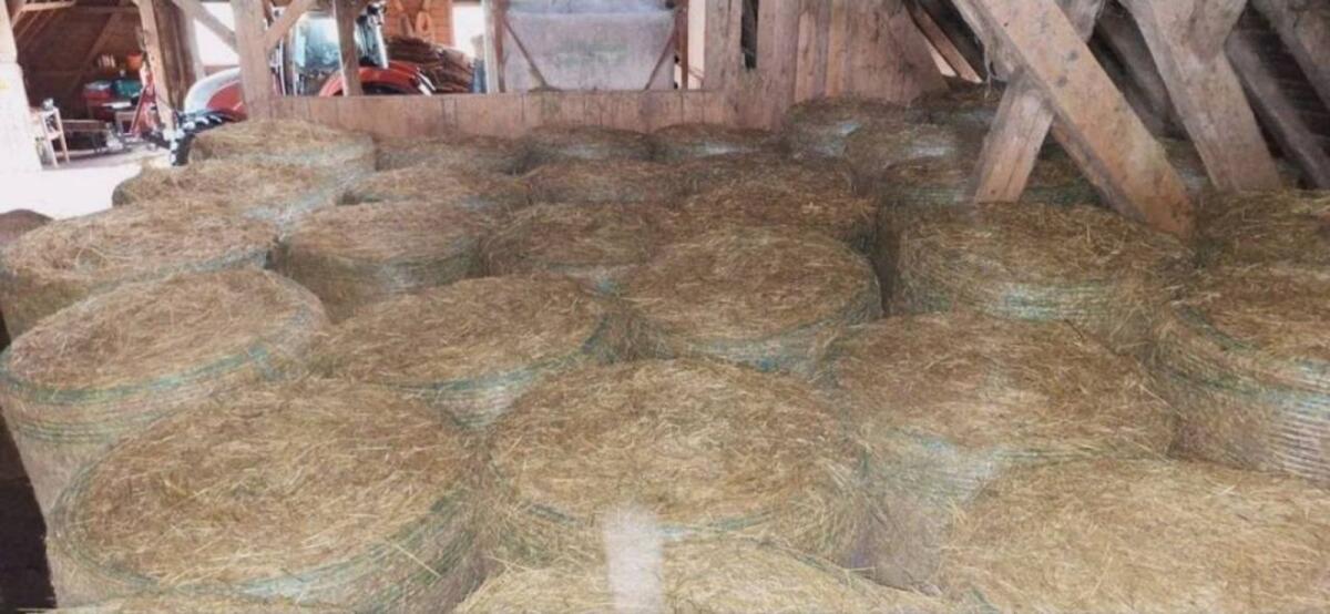 Heu Heuballen Rundballen Ernte 2024 2