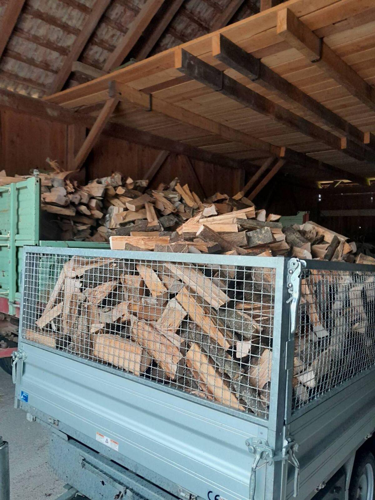 Brennholz trocken ab € 80,- 2